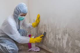 Why You Should Choose Our Mold Remediation Services in Karns, TN